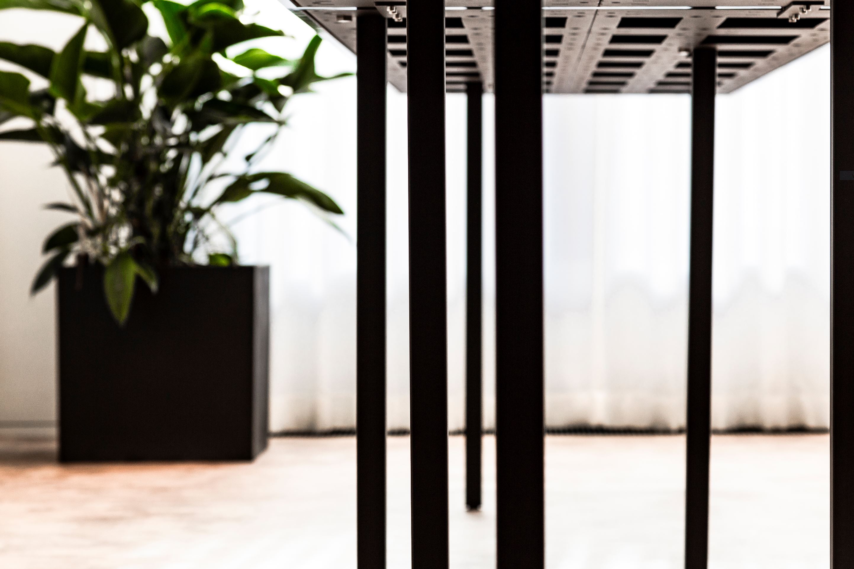 Beeld Tim Van de Velde