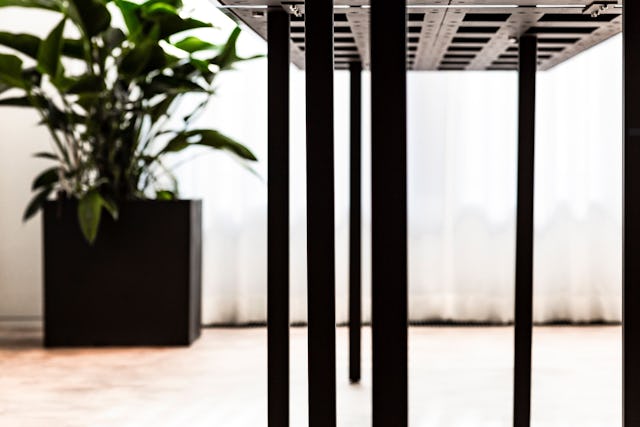 Beeld Tim Van de Velde