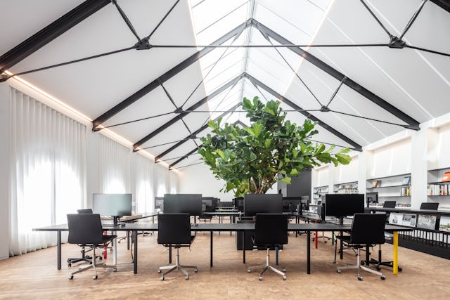 Beeld Tim Van de Velde