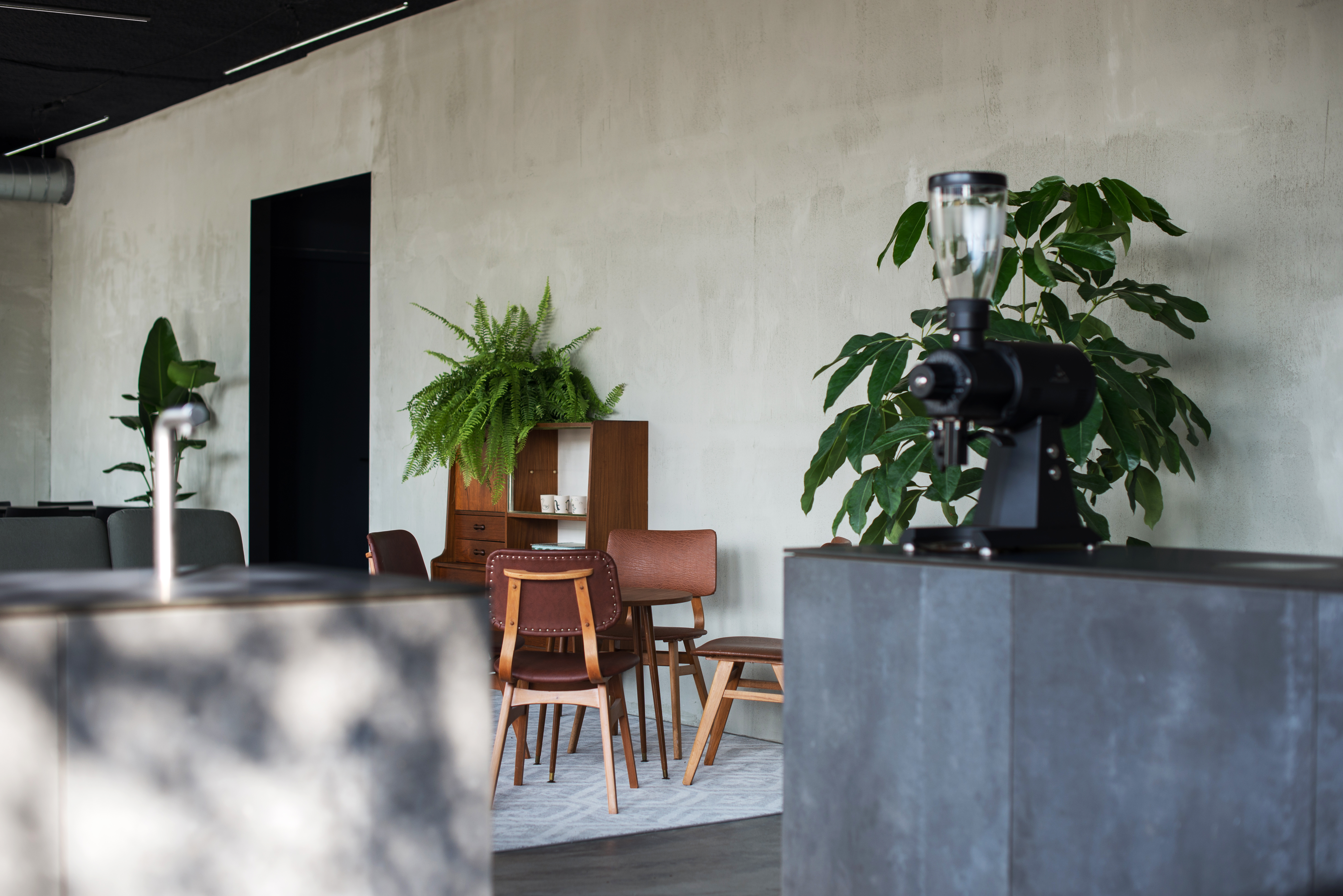 Foto: Michael Cerrone