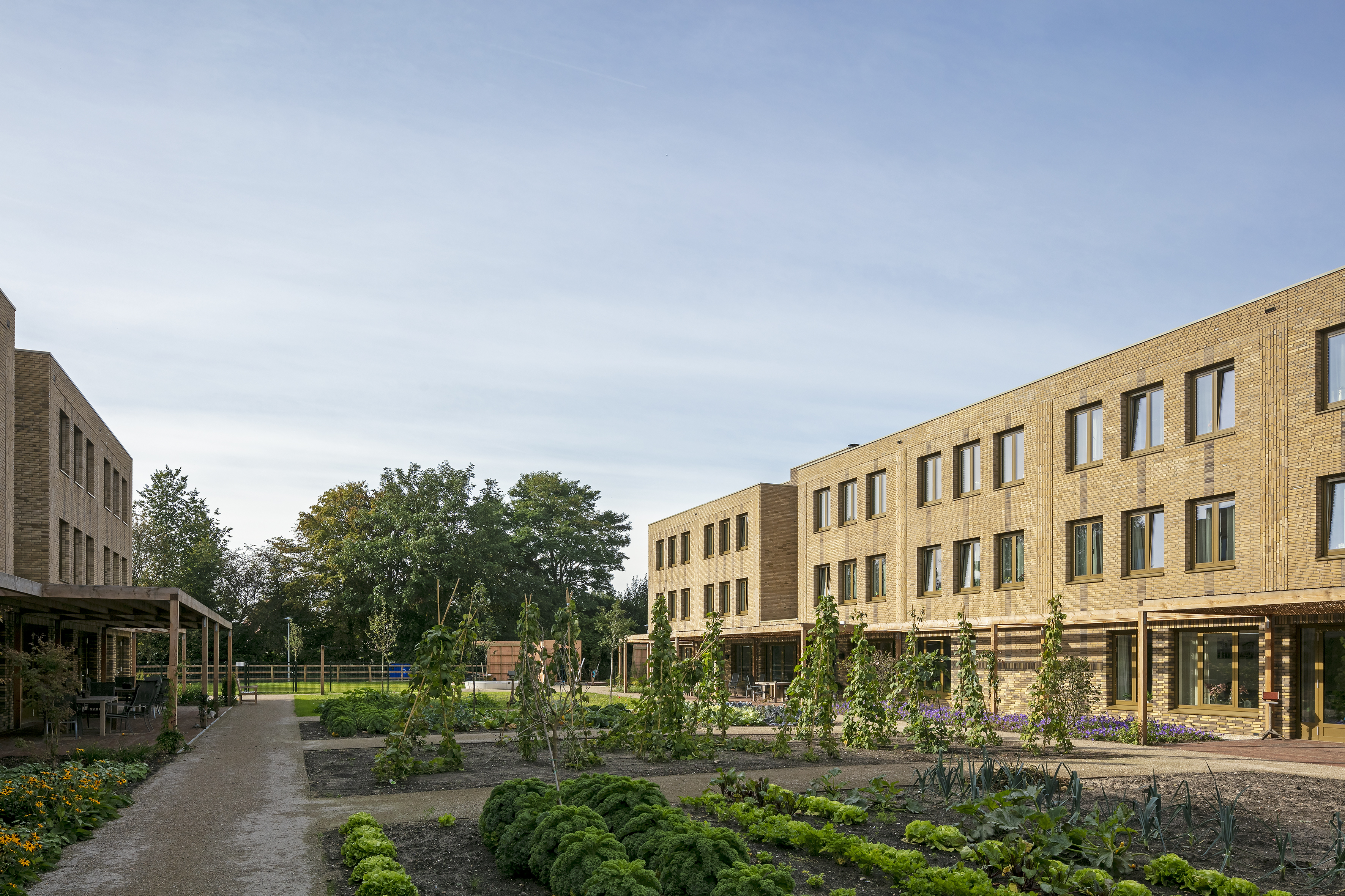 Hofje Wendakker door Van Veen Architecten. beeld Luuk Kramer