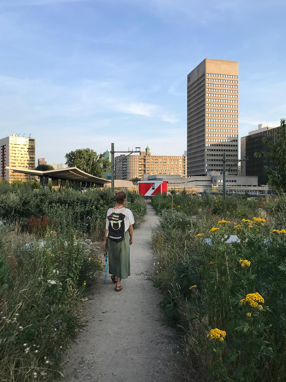 Dakdorpen Rotterdam door Walden Studio. Beeld Reneé Rooijmans