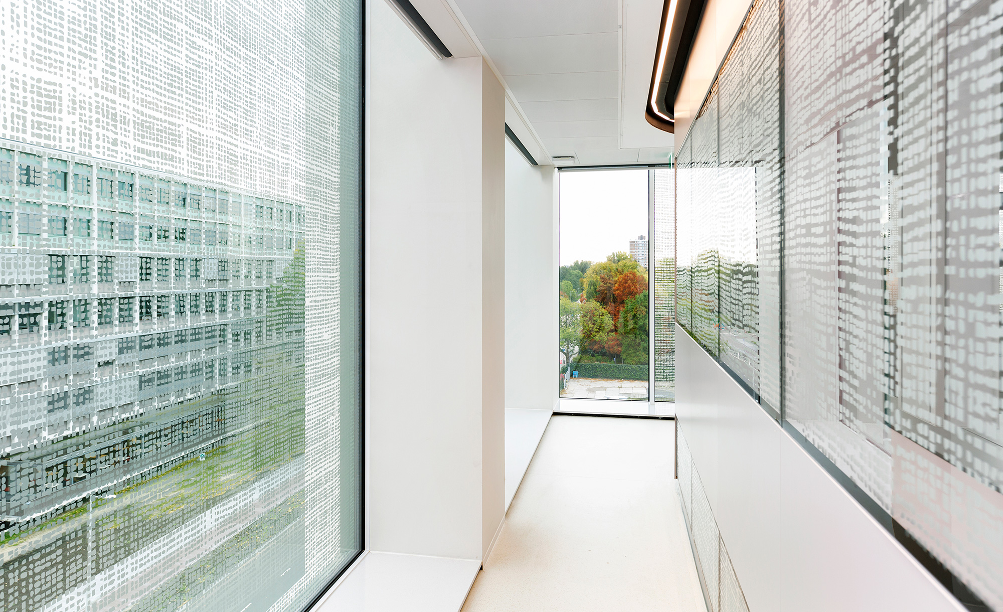 Beelden Hanne van der Woude