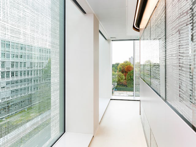 Beelden Hanne van der Woude