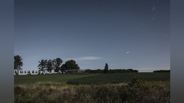 House H in Mount Brydges (Canada) door Chris Collaris Architects. Beeld Tim Van de Velde
