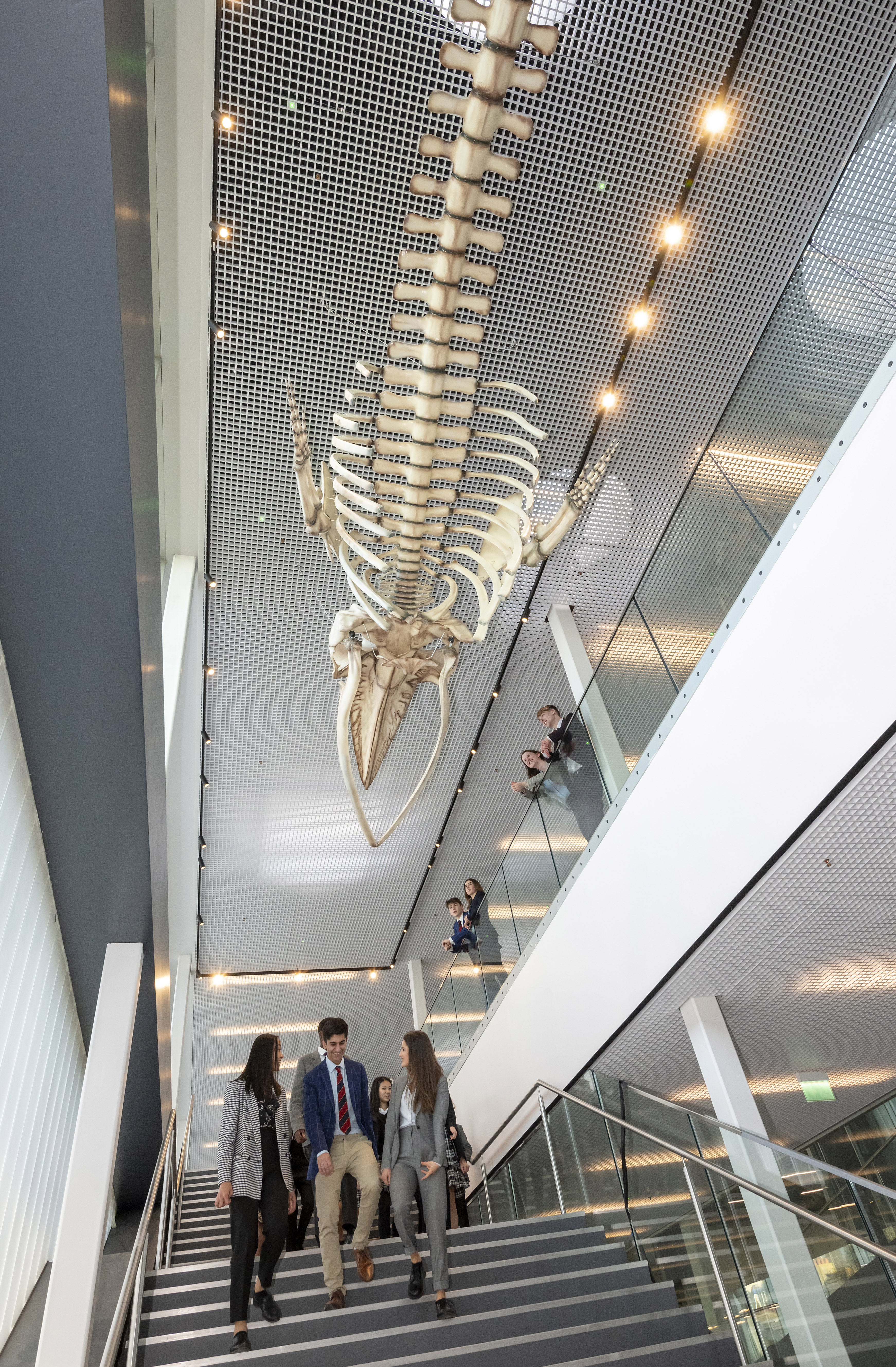 Photo by Liz Finlayson/Vervate
Brighton College Nov 2019 stock in the new Sports and Science Centre - Whale Corridor