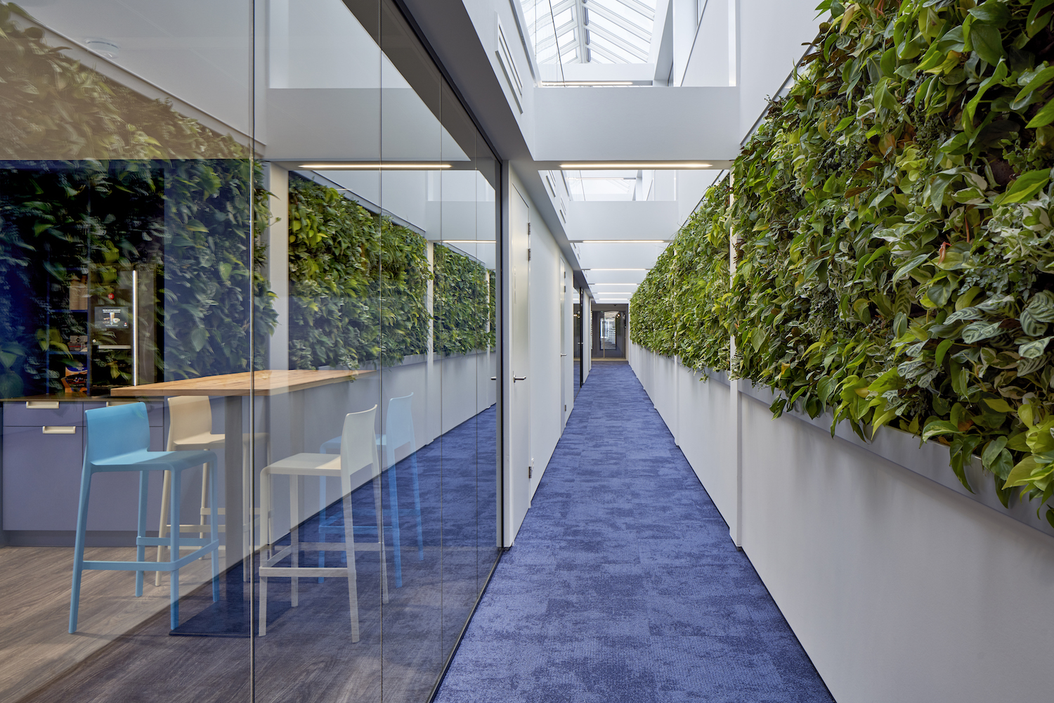 Beeld Ronald Tilleman