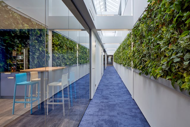 Beeld Ronald Tilleman