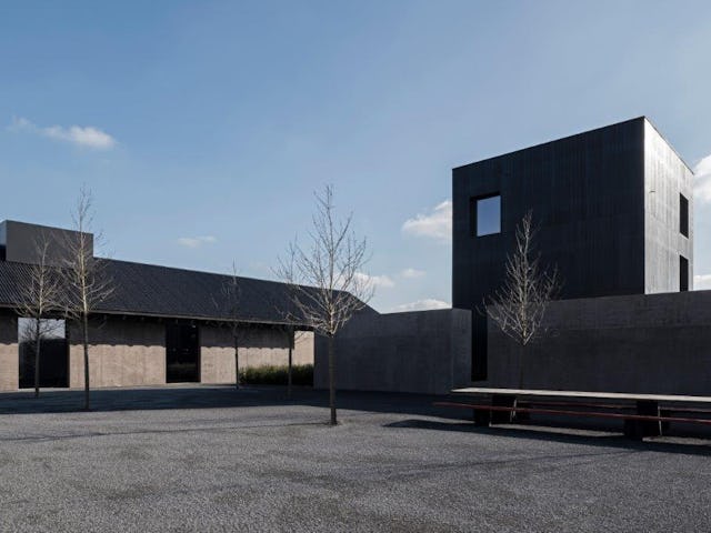 Beeld Koen van Damme