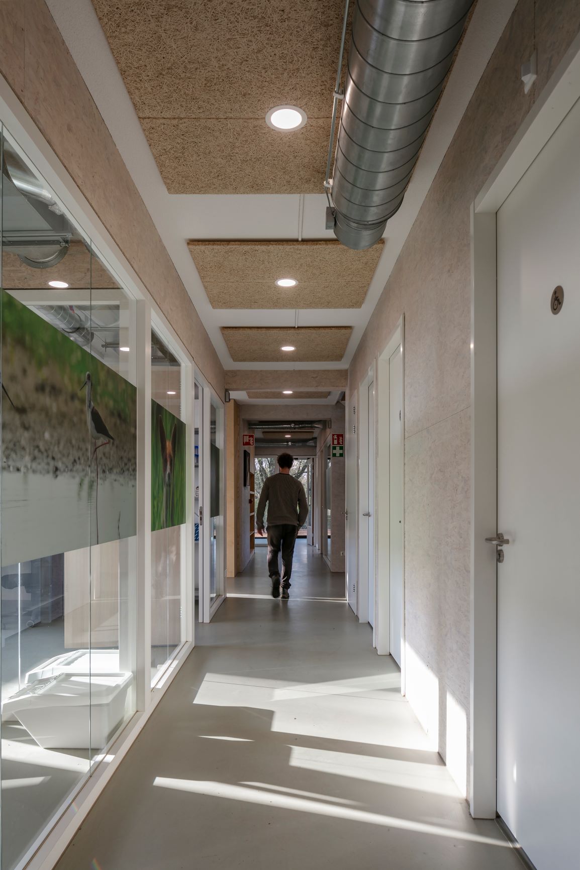 Kantoorgebouw Staatsbosbeheer in Lelystad door Van Veen Architecten. beeld Luuk Kramer