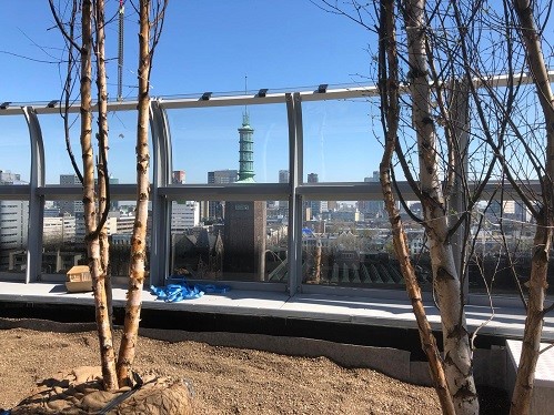 Vanaf het dakterras heeft de bezoeker straks spectaculair uitzicht over Rotterdam. Beeld: Winy Maas, MVRDV
