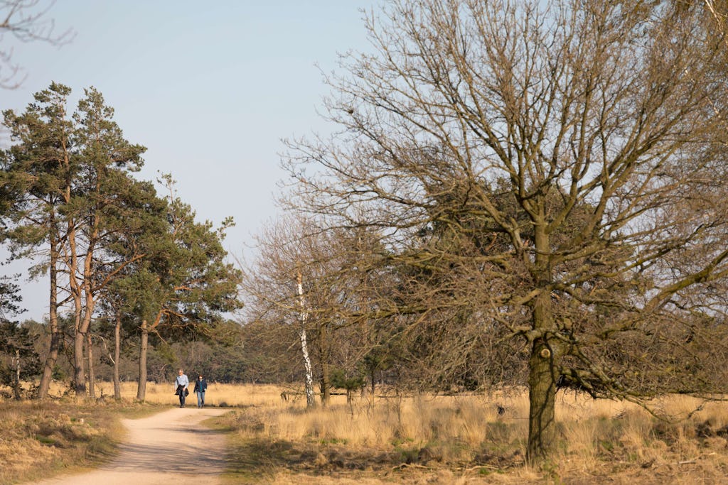 Natuurgebied in Lierop (Noord-Brabant) tijdens coronacrisis. Beeld Shutterstock