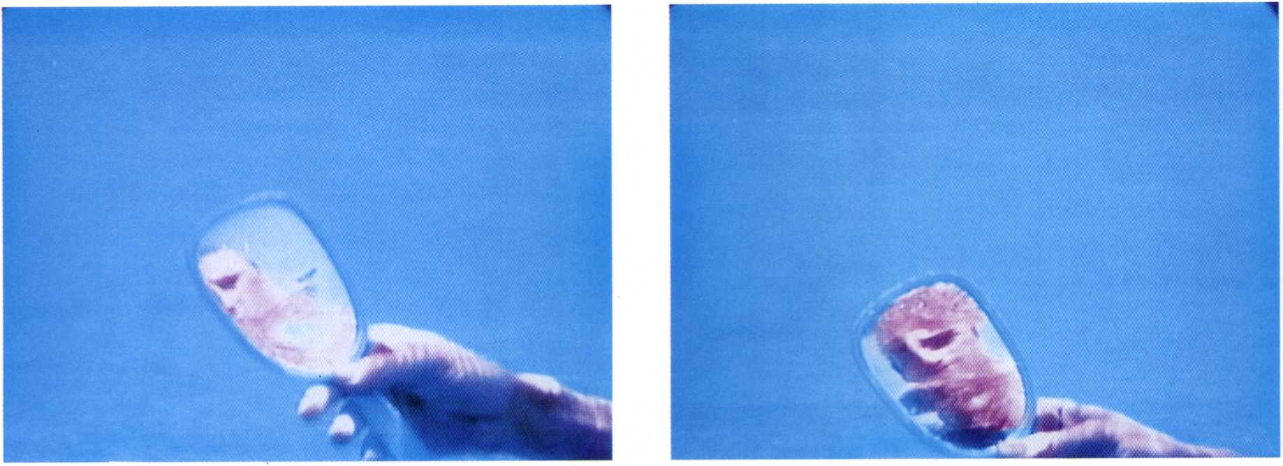 Het ontstaan van ideologische gladheid door Hays