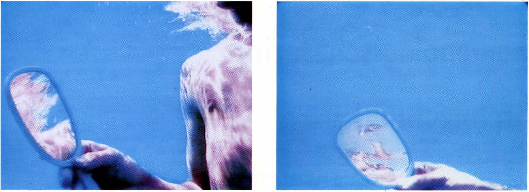 Het ontstaan van ideologische gladheid door Hays