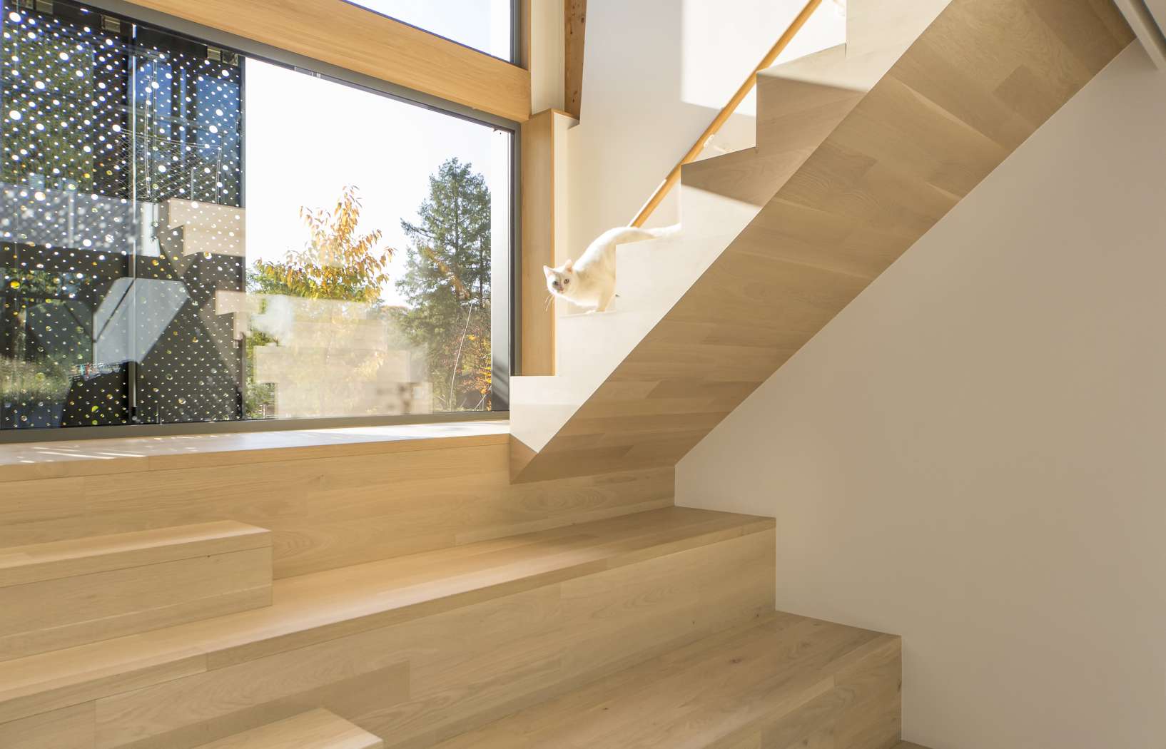 Het Scharnier in Arnhem door Niels Olivier Architect. beeld Arne Olivier 