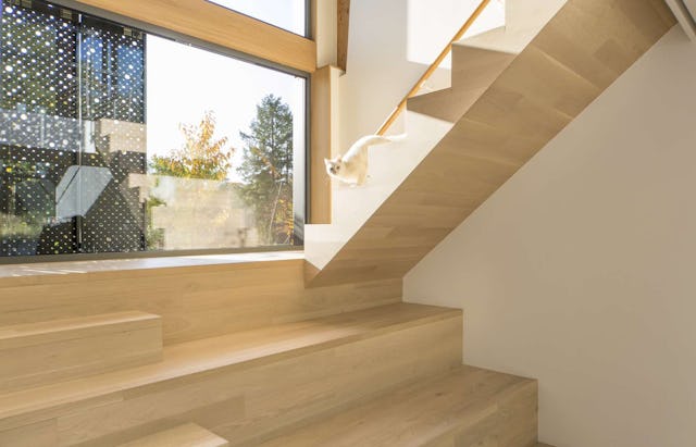 Het Scharnier in Arnhem door Niels Olivier Architect. beeld Arne Olivier