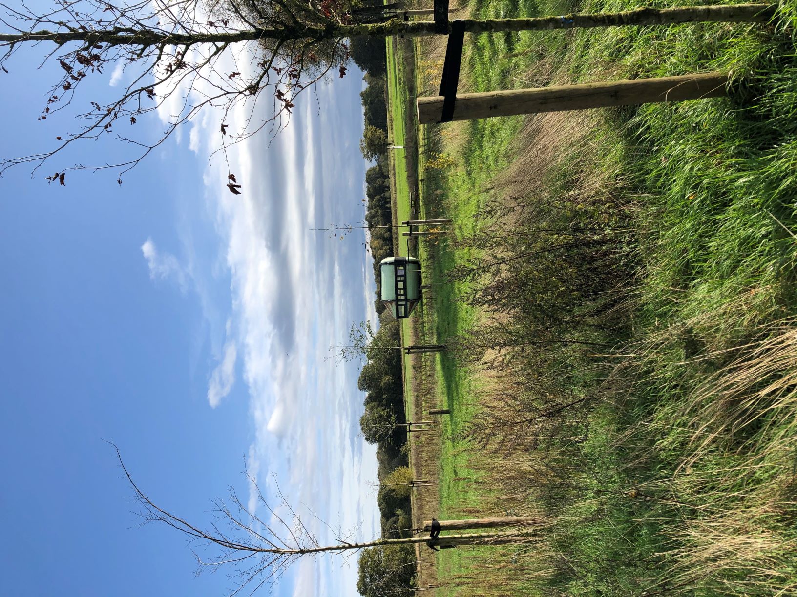 Kamer-van-de-Kleine-Beerze-Timm-Donke-Thieu-Custers