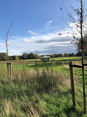 Kamer-van-de-Kleine-Beerze-Timm-Donke-Thieu-Custers