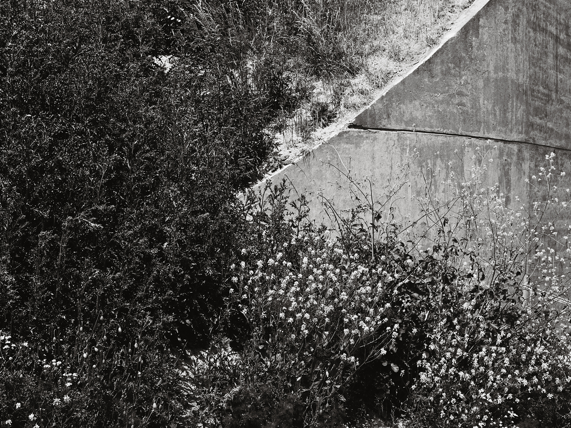 Fort van Hoofddorp door Serge Schoemaker. beeld MWA Hart Nibbrig