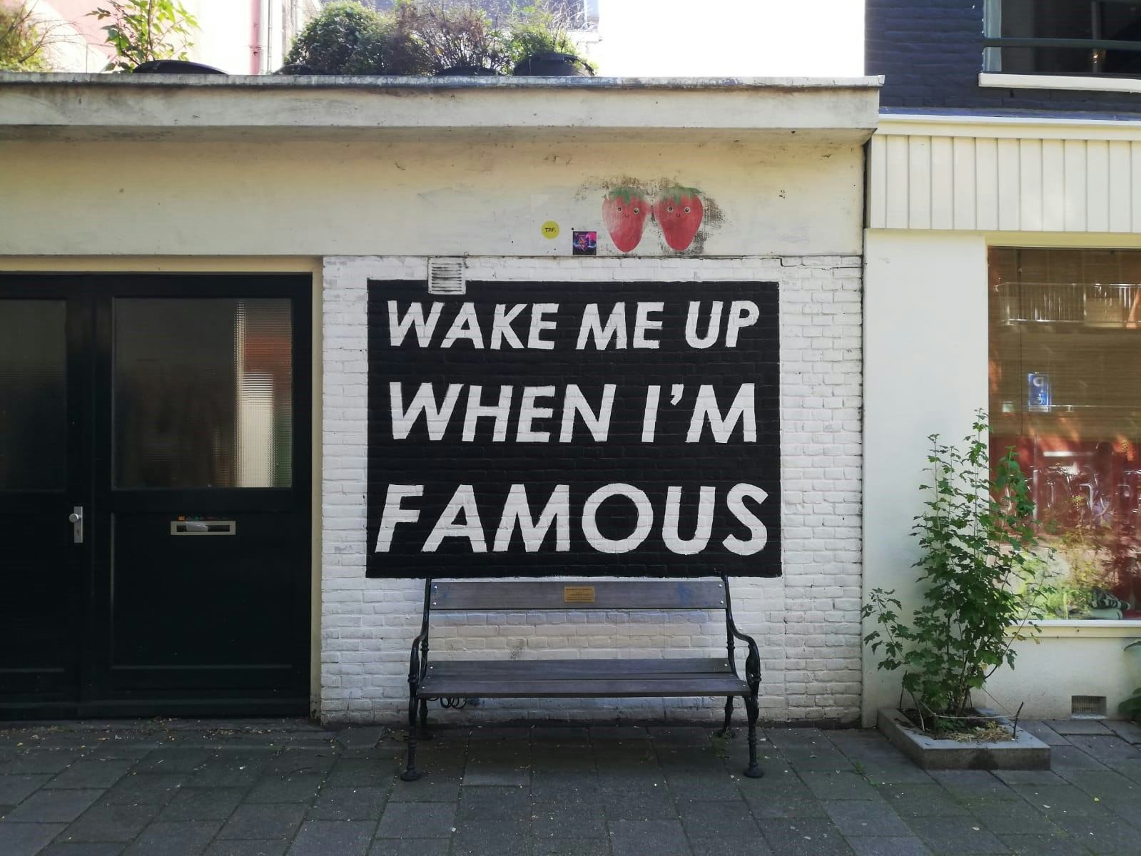 Wake me up when I'm famous bankje in Amsterdam. Beeld Jan van Vlerken