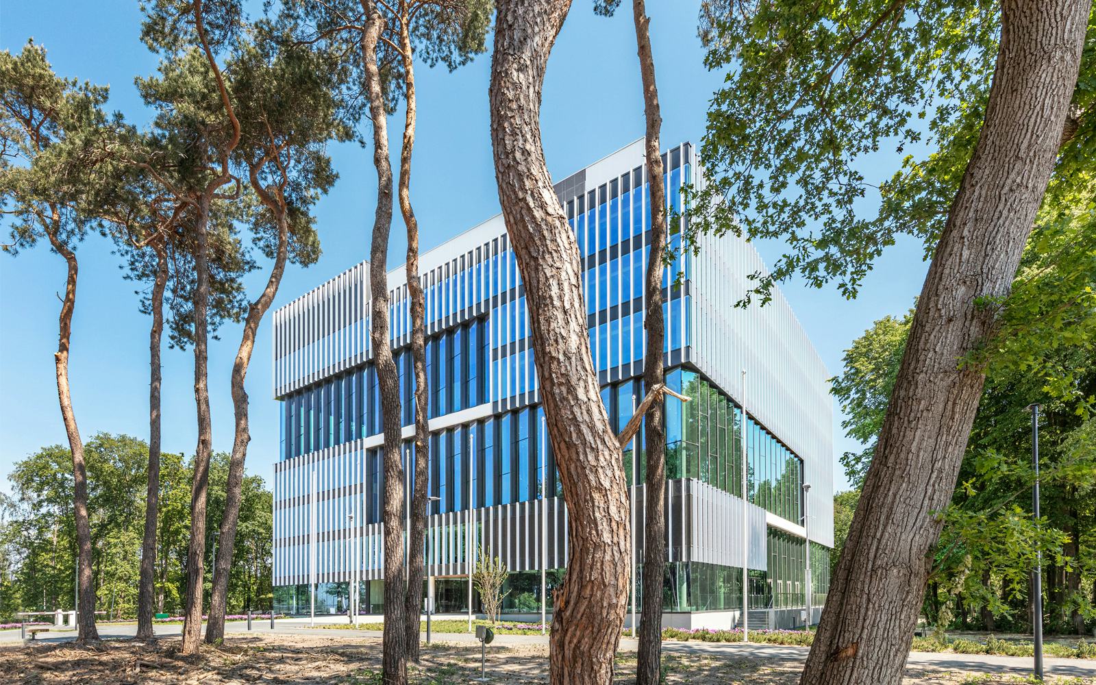 Foto: Norbert van Onna