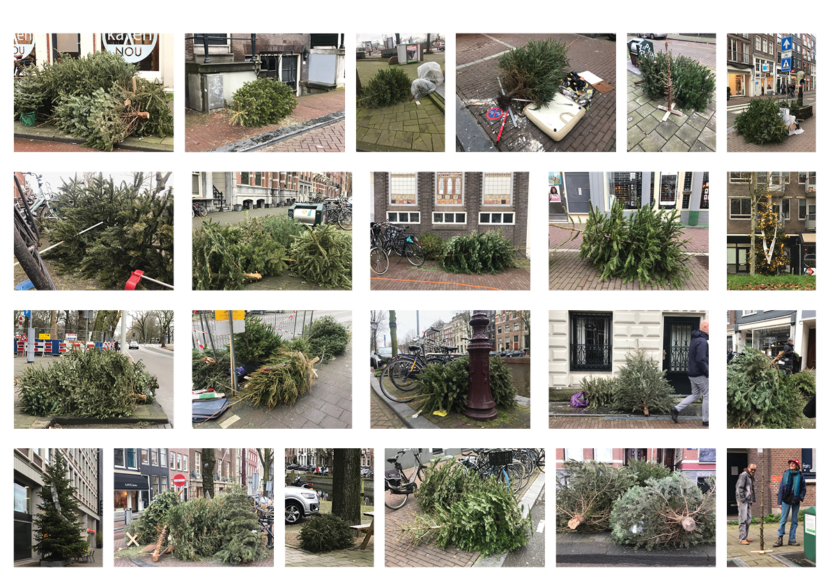 Boomschaamte - foto's P. Bremmer