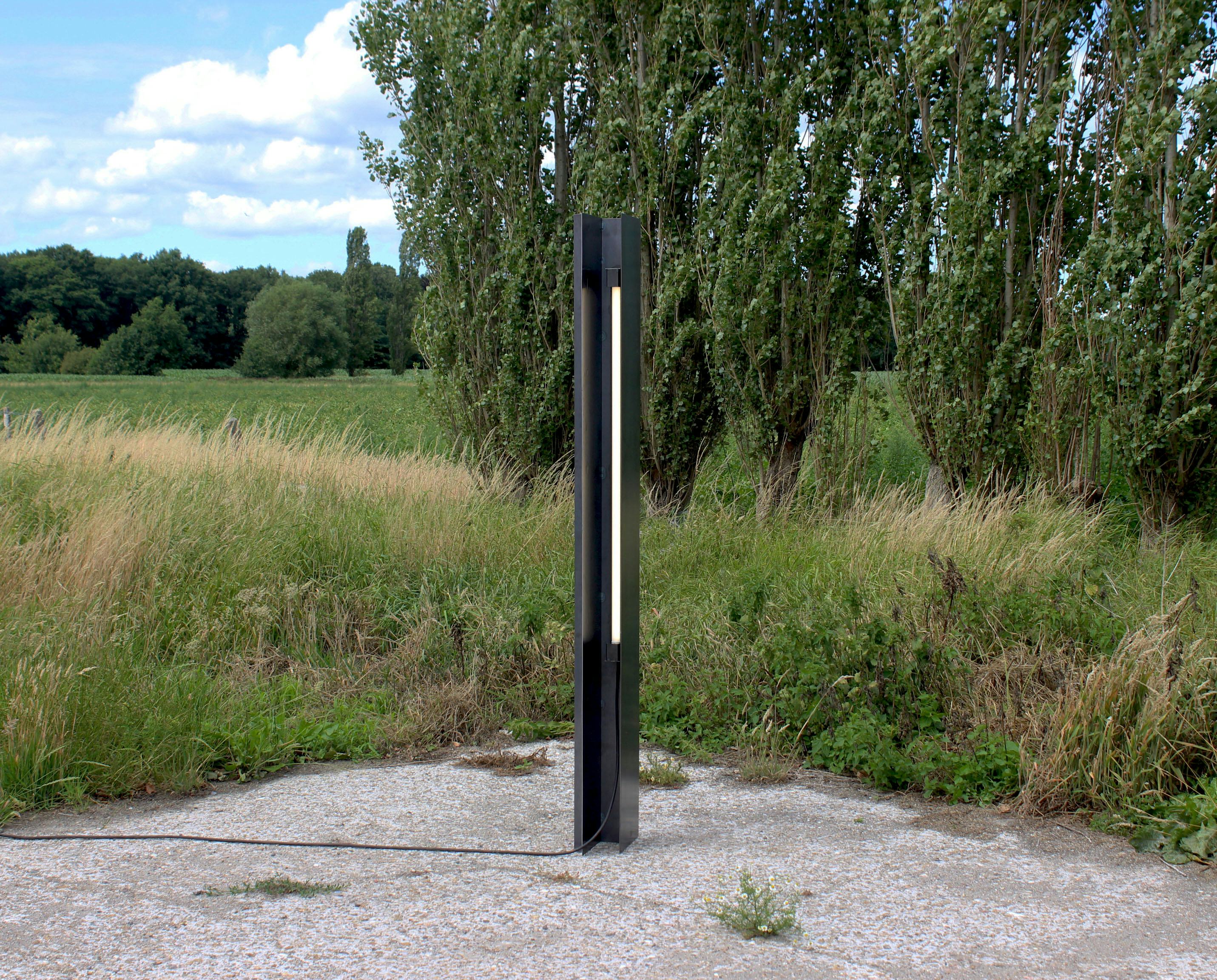 Forest Light outside