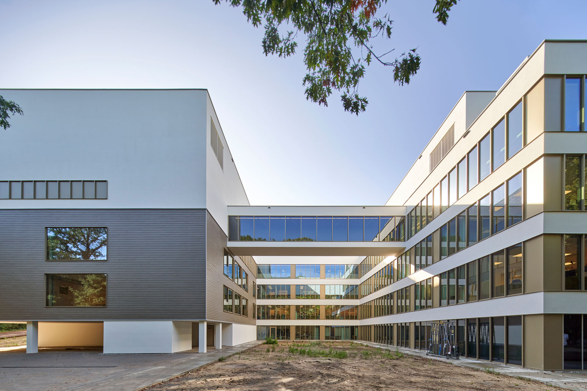 Beeld door Ronald Tilleman