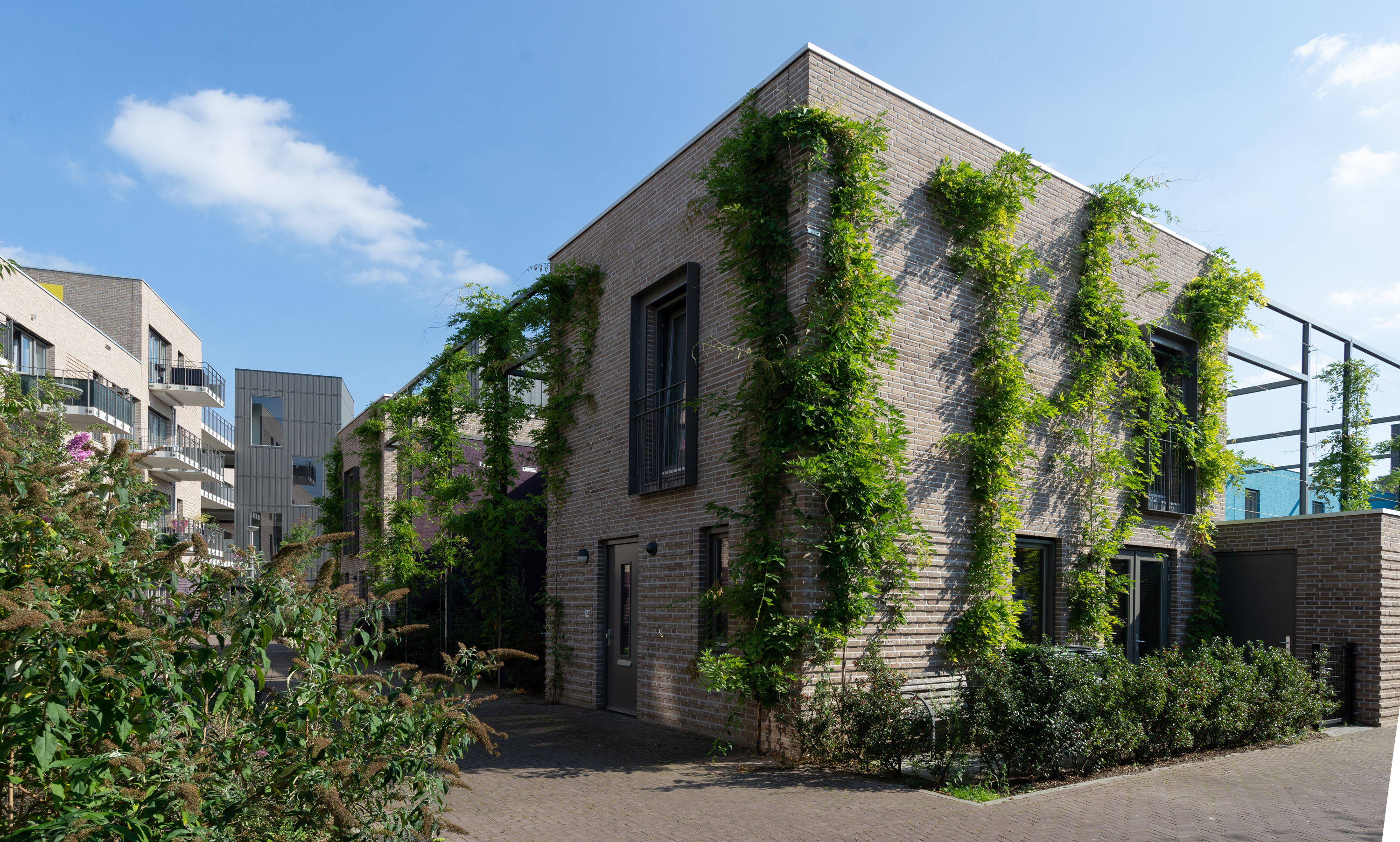 Buro Lubbers en Tarra