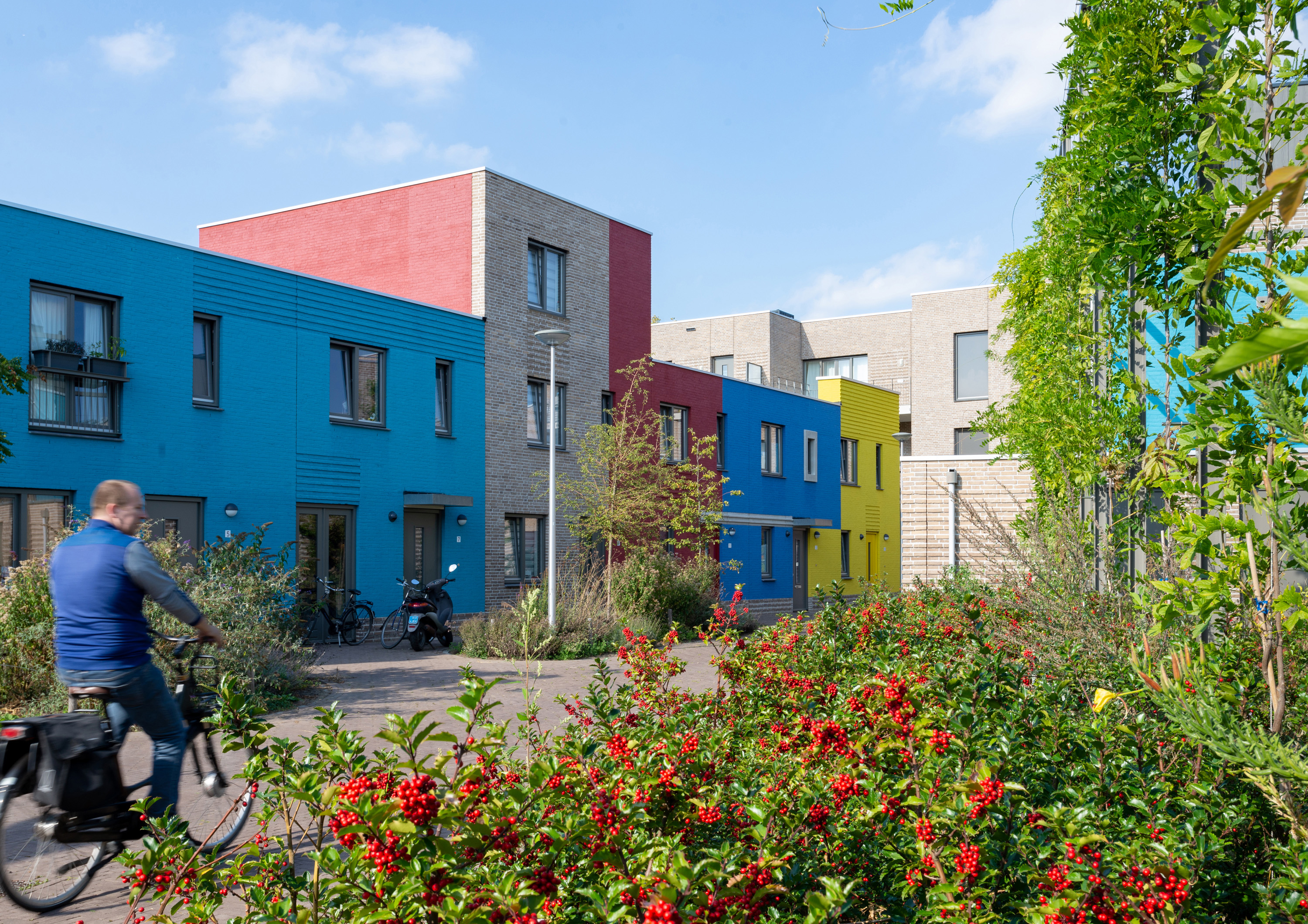 Buro Lubbers en Tarra