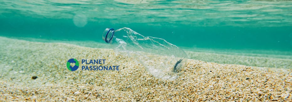 Hergebruikte Kingspan sandwichpanelen met QuadCore®-kern zijn gebruikt in BlueCity, Rotterdam: de voorbeeldstad voor de circulaire economie gevestigd in voormalig tropisch zwemparadijs Tropicana.