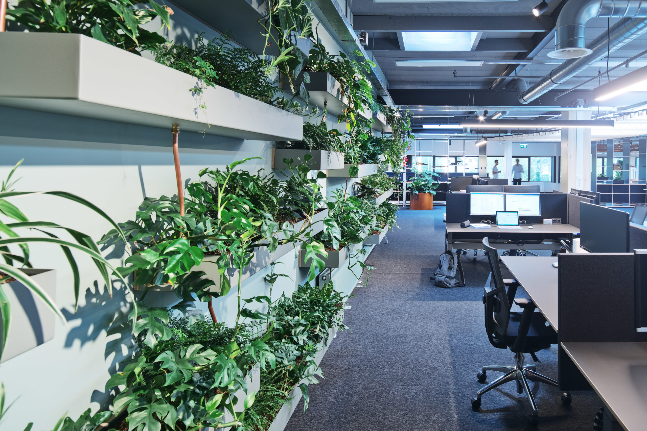 DAMAST architects Intersell