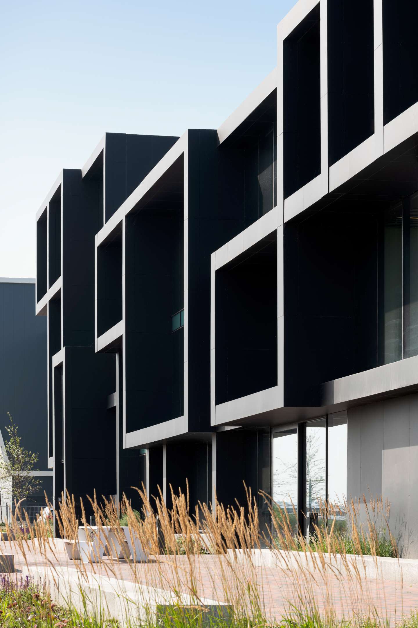 Beeld Chiel de Nooyer