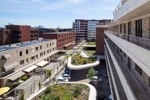 Groentuinen voor klimaatadaptieve opvang van regenwater. Beeld Scagliola-Brakkee.