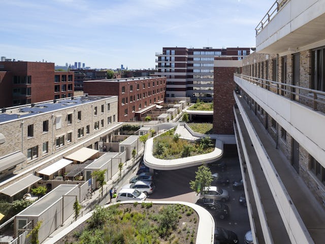 Groentuinen voor klimaatadaptieve opvang van regenwater. Beeld Scagliola-Brakkee.