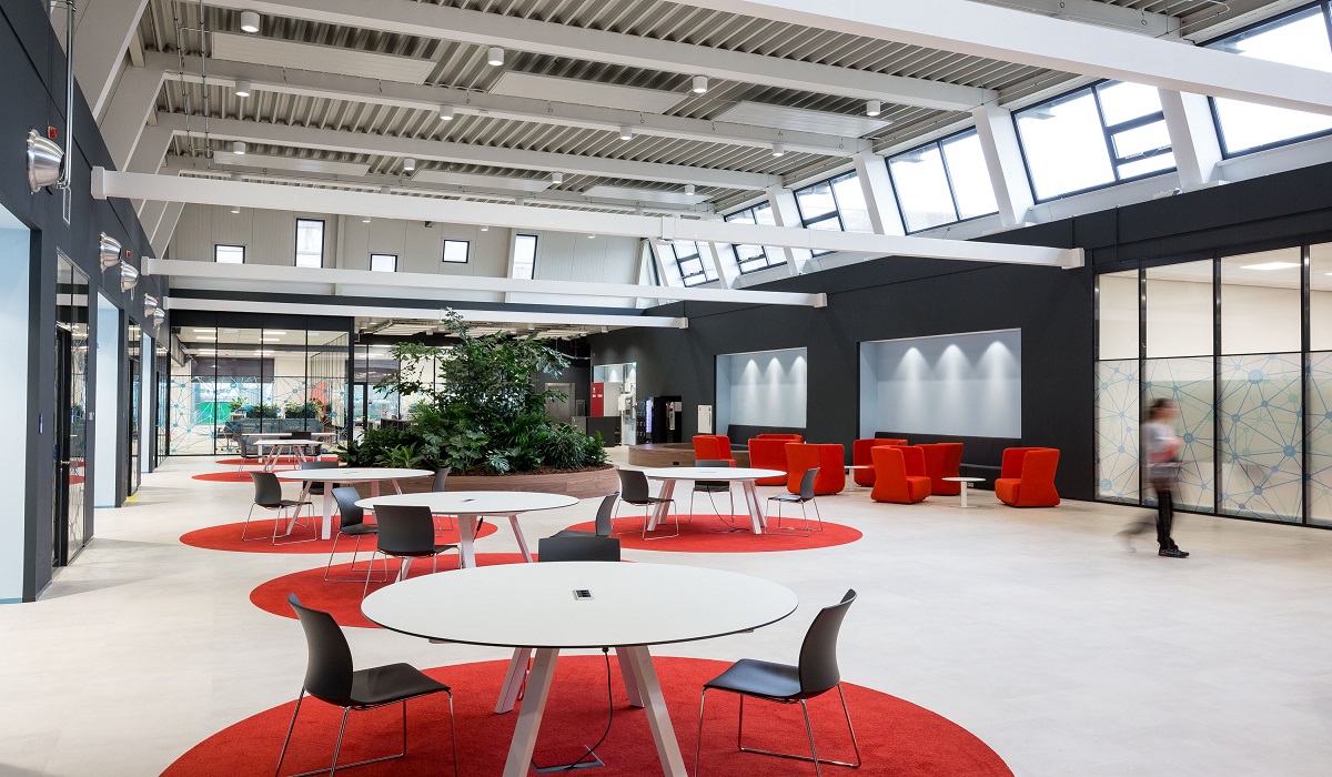 Beeld Lucas van der Wee