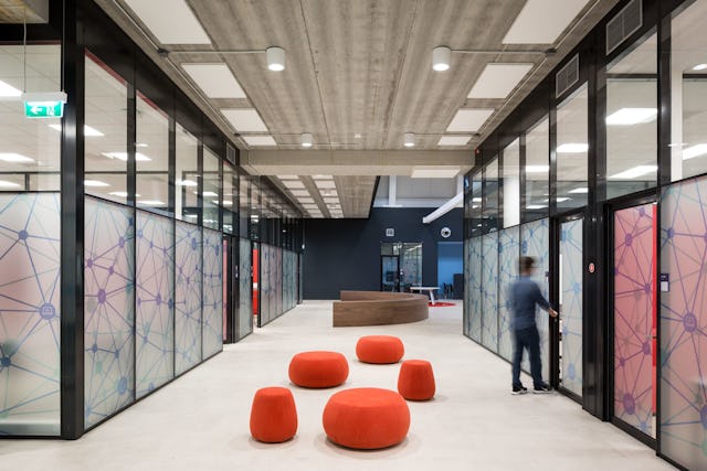 Beeld Lucas van der Wee