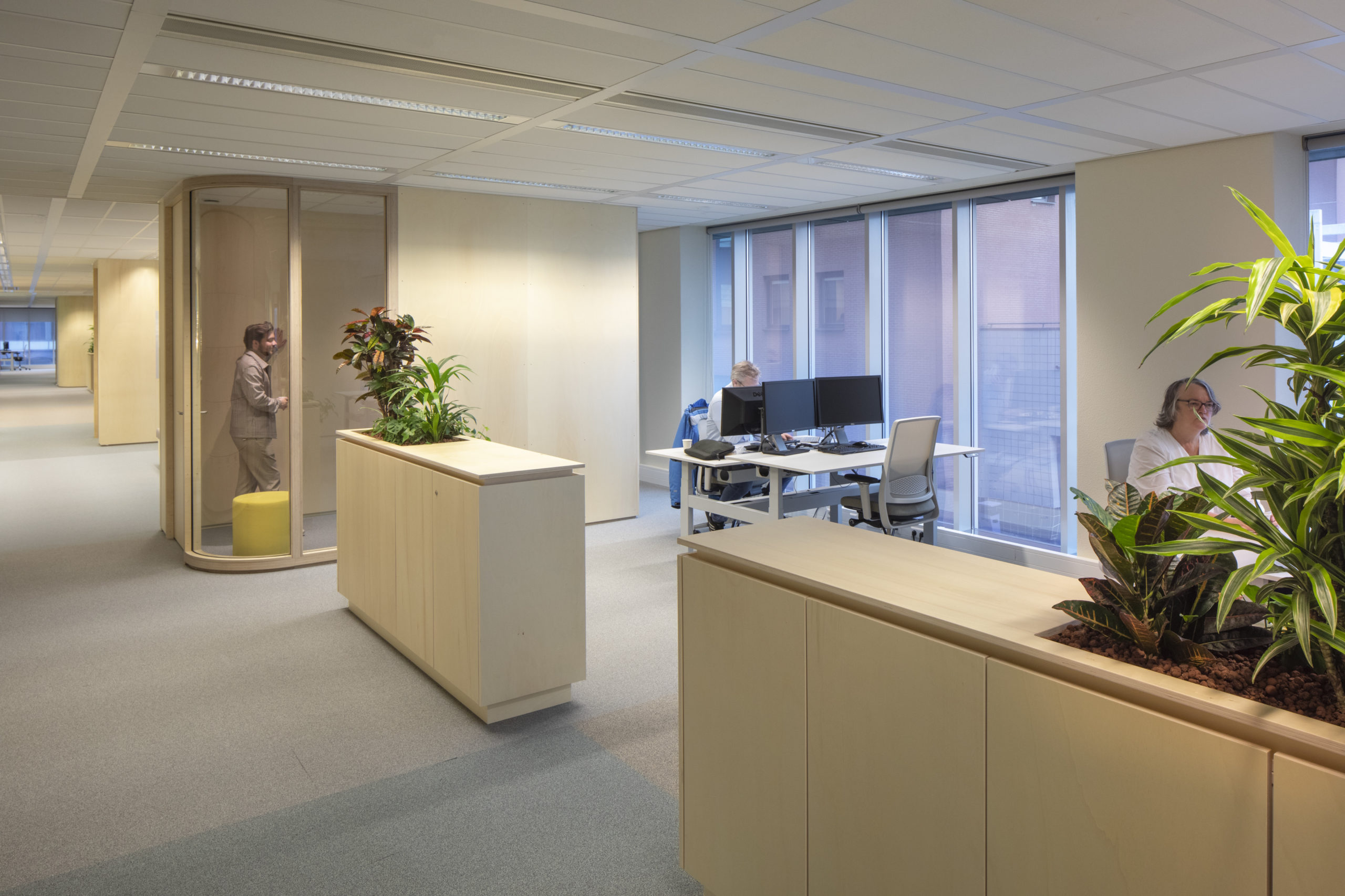 Beeld Daria Scagliola