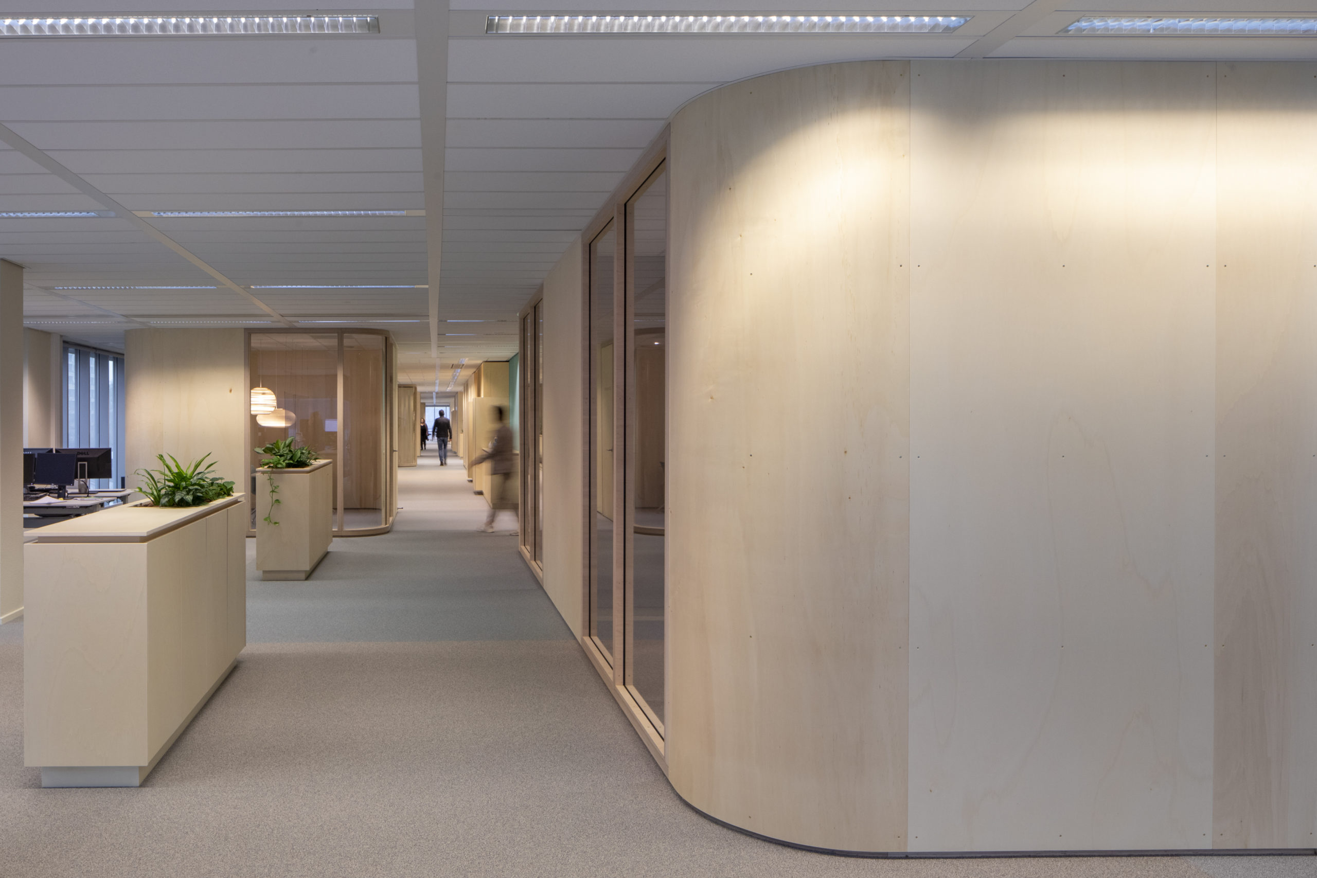 Beeld Daria Scagliola