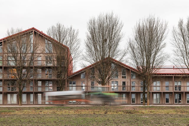 Beeld Sebastian van Damme