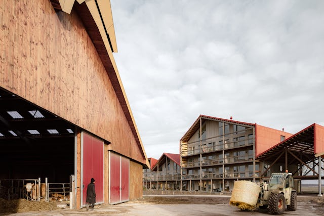 Beeld Sebastian van Damme