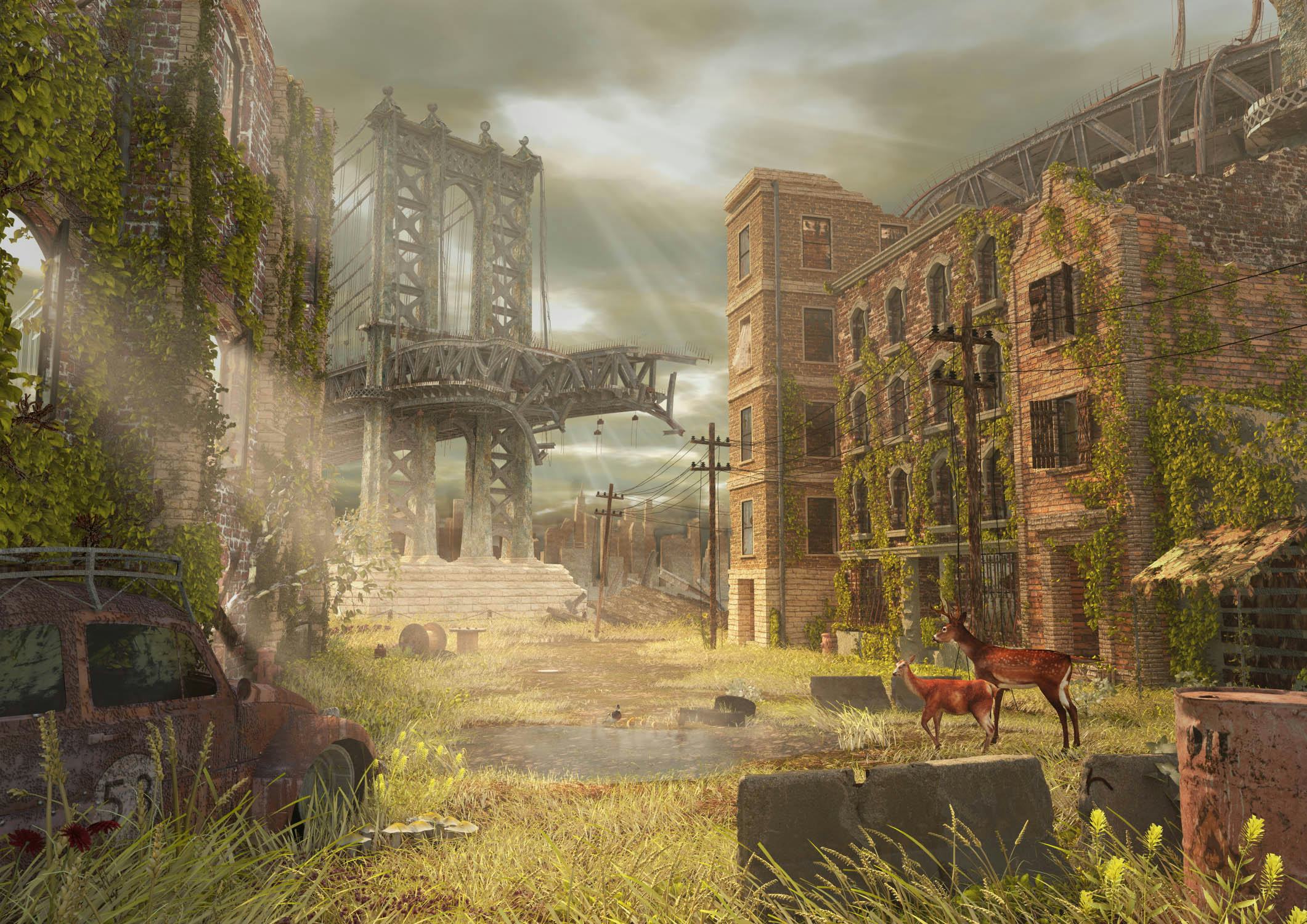 Tekening van de Week - Dominik Stoschek