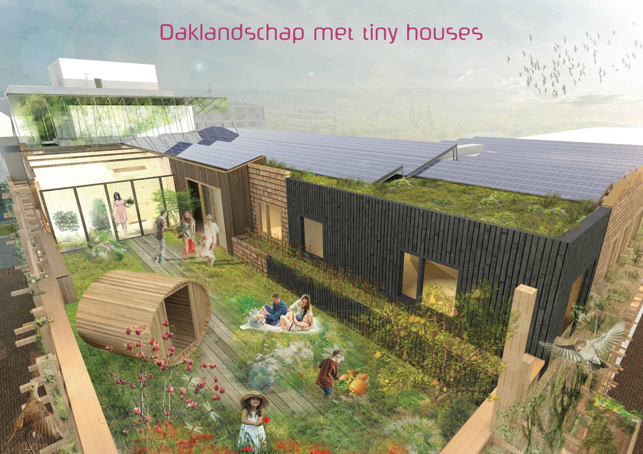 De Warren Dak (c) Natrufied Architecture