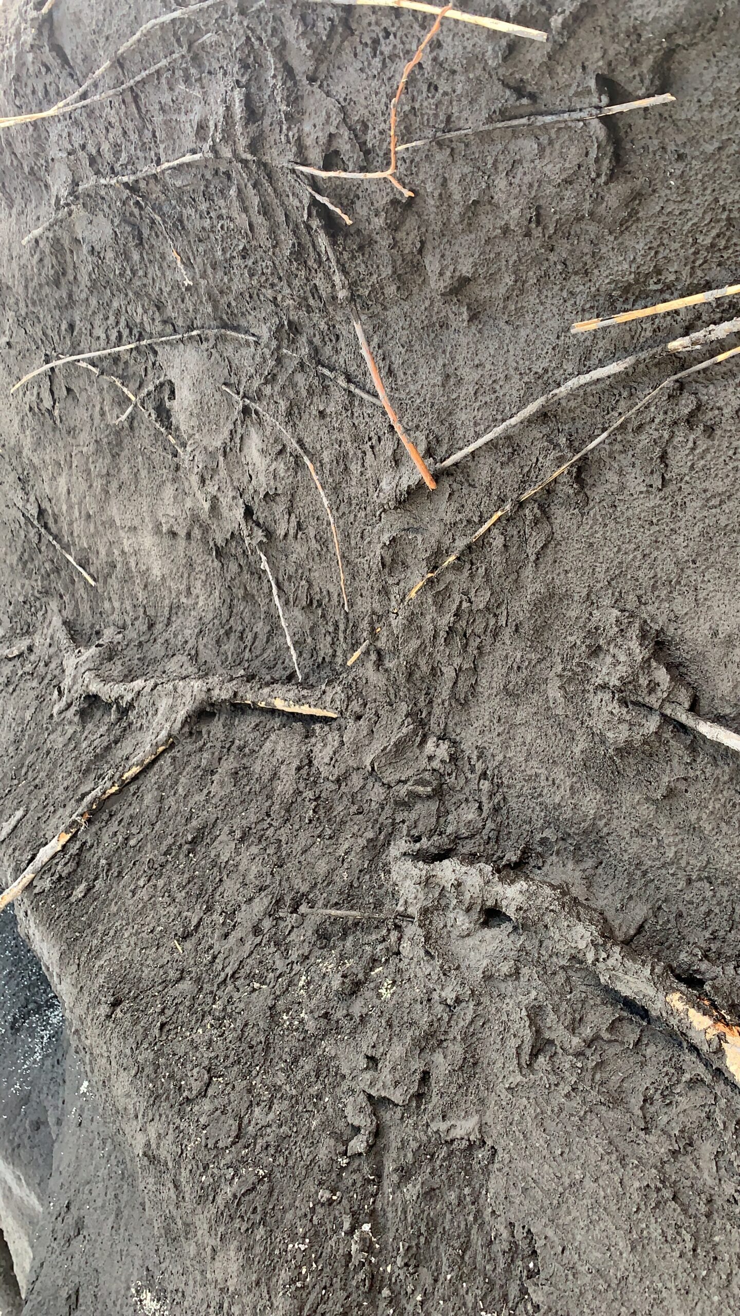 Beeld Maarten Feenstra