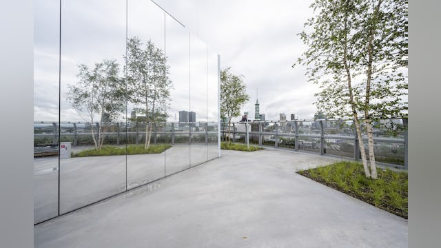 Dakterras depot Boijmans van Beuningen. Beeld Ossip van Duivenbode