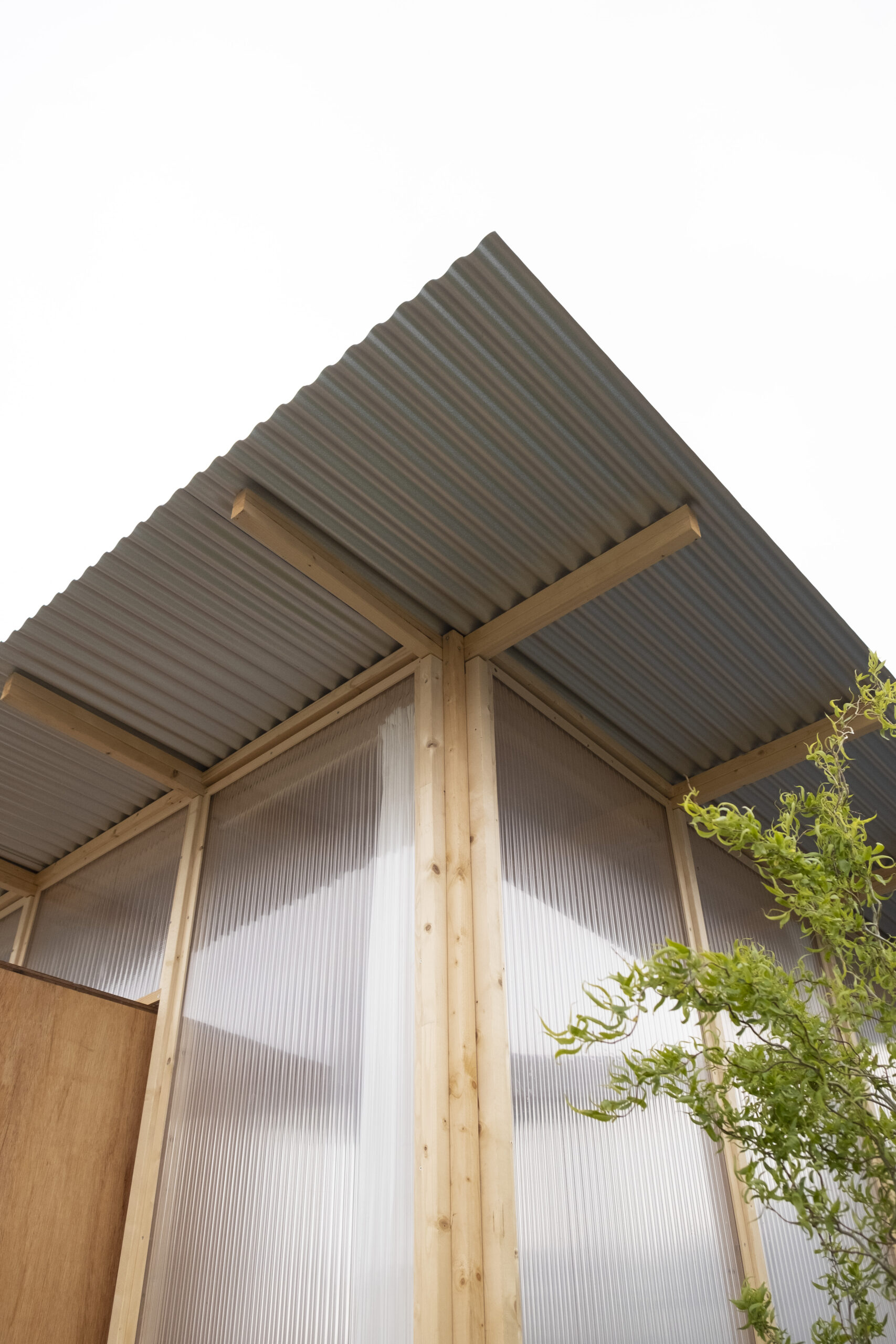 Beeld Rubén Dario Kleimeer