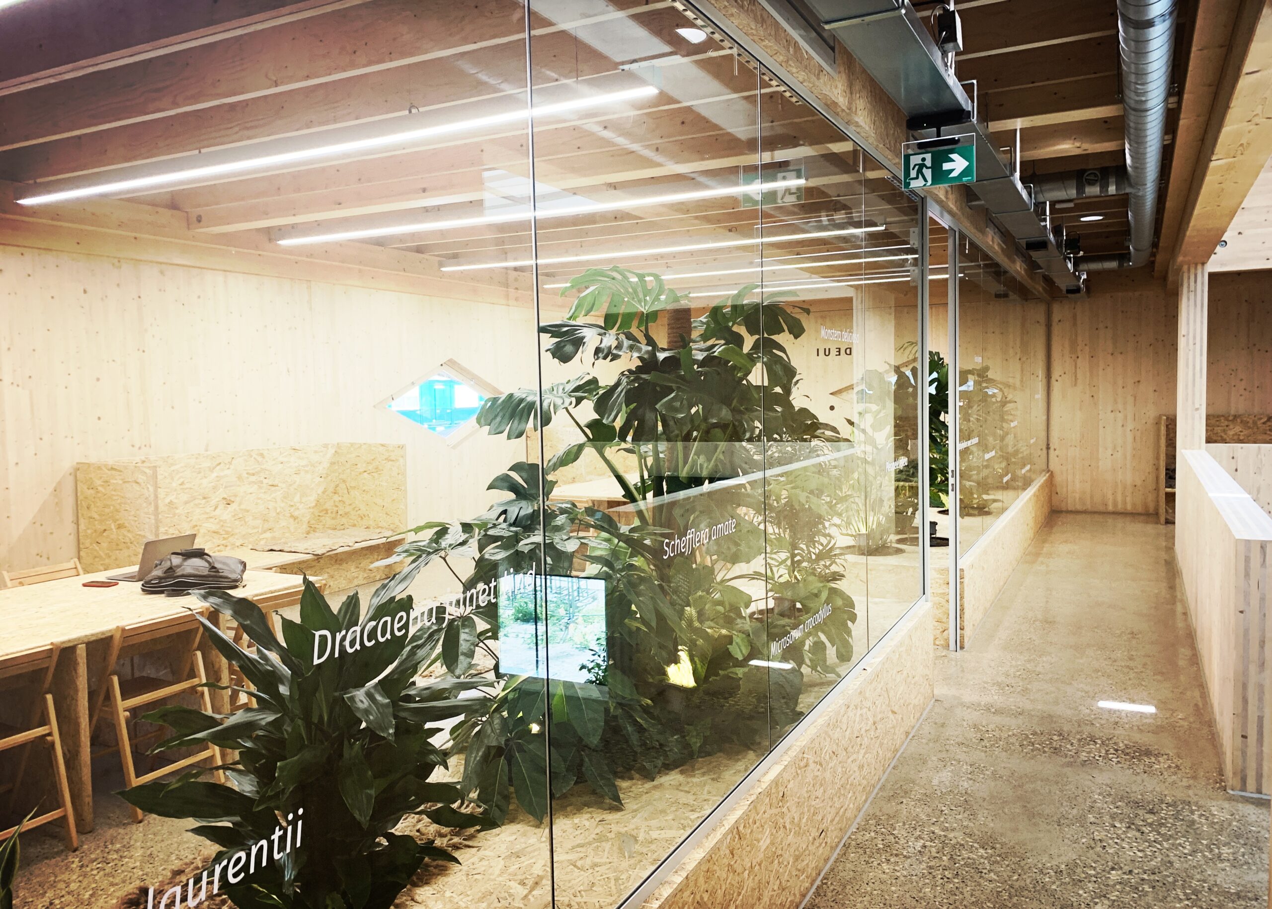 Eerste verdieping. Beeld Maarten Feenstra