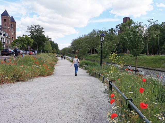 Herstel Catherijnesingel door OKRA Landschapsarchitecten