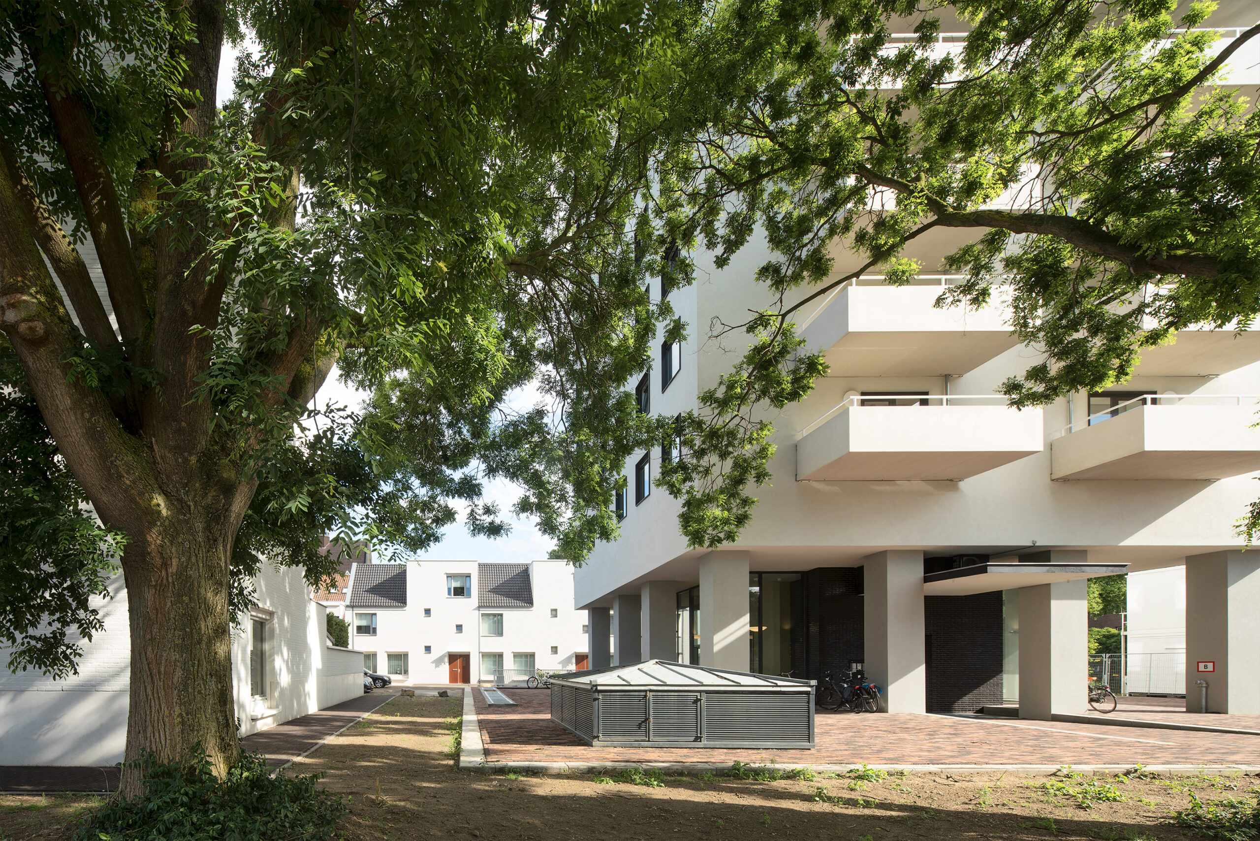 Beeld Arjen Schmitz, Philip Driessen