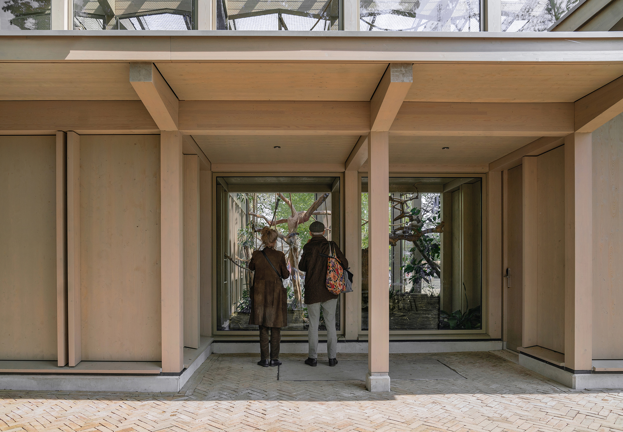 ATELIERFRONT-ARTIS-Amsterdam-Gibbonpaviljoen. Beeld Laura Zalengaweb